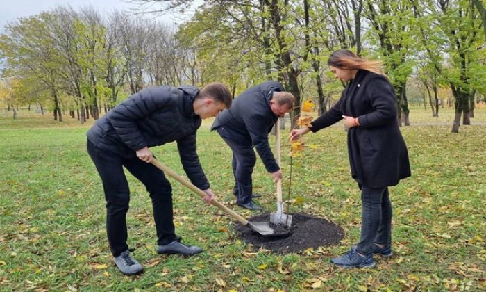 По инициативе «Единой России» в Ставропольском крае высадили «Аллею Памяти»