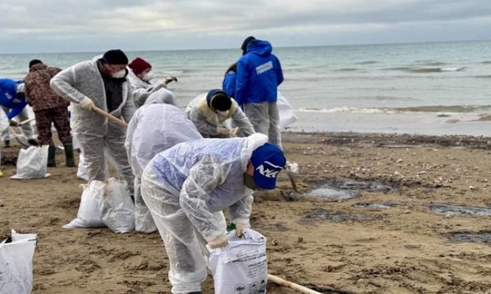 Birleşik Rusya ve MGER gönüllüleri, Anapa ve Temryuk bölgesindeki kıyı şeridinden 10 bin tonun üzerinde petrol ürününün toplanmasına yardımcı oldu