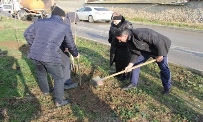 В Дагестане по инициативе «Единой России» состоялась акция по посадке деревьев