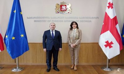 Meeting of the Ambassador with the Minister of Foreign Affairs of Georgia